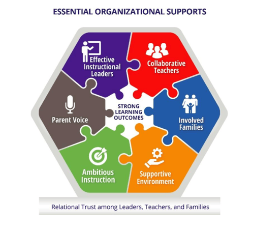 organizational structure of early childhood education